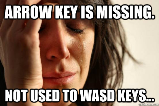 Arrow key is missing. Not used to WASD keys... - Arrow key is missing. Not used to WASD keys...  First World Problems