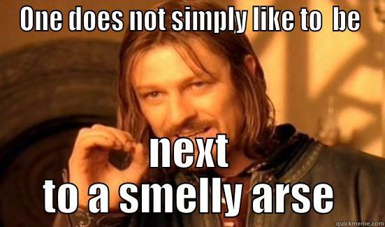 ONE DOES NOT SIMPLY LIKE TO  BE NEXT TO A SMELLY ARSE Boromir