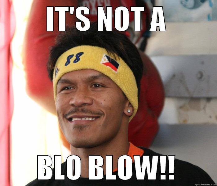 IT'S NOT A BLO BLOW!! Misc