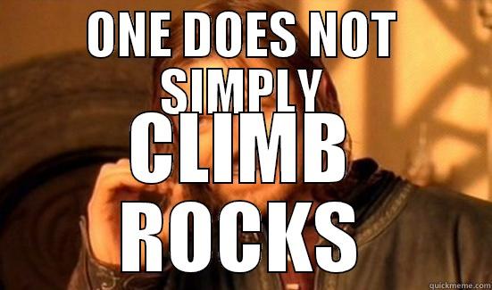 ONE DOES NOT SIMPLY CLIMB ROCKS Boromir