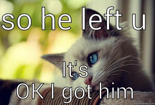 SO HE LEFT U  IT'S OK I GOT HIM First World Problems Cat