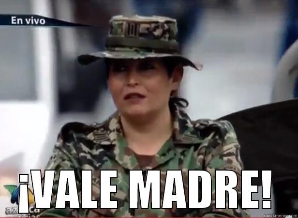  ¡VALE MADRE! Misc
