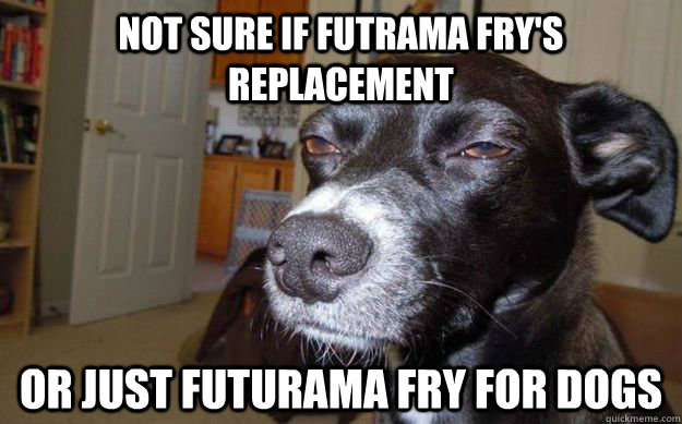 Not sure if Futrama Fry's replacement Or just Futurama Fry for dogs  Skeptical Mutt