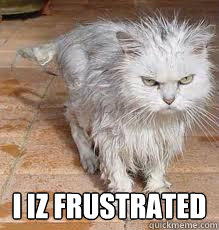  I iz frustrated -  I iz frustrated  Misc