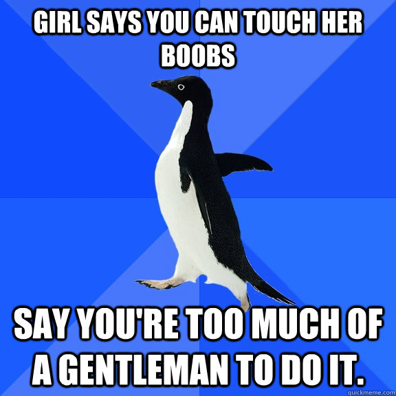 Girl says you can touch her boobs say you're too much of a gentleman to do it.  Socially Awkward Penguin