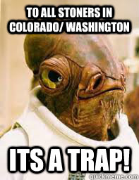 to all stoners in colorado/ washington ITS A TRAP!  Its a trap