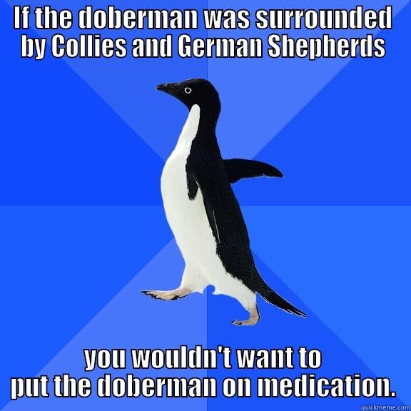 IF THE DOBERMAN WAS SURROUNDED BY COLLIES AND GERMAN SHEPHERDS YOU WOULDN'T WANT TO PUT THE DOBERMAN ON MEDICATION. Socially Awkward Penguin