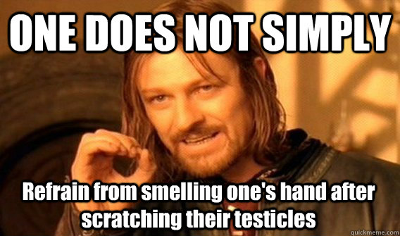 ONE DOES NOT SIMPLY Refrain from smelling one's hand after scratching their testicles  One Does Not Simply
