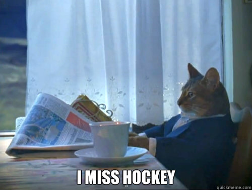  i miss hockey  The One Percent Cat