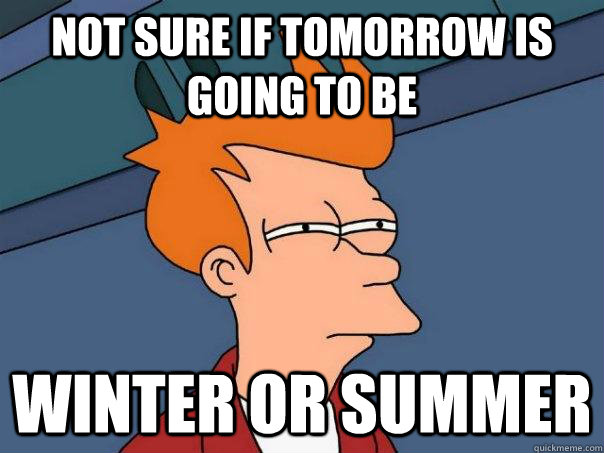 Not sure if tomorrow is going to be winter Or summer  Futurama Fry