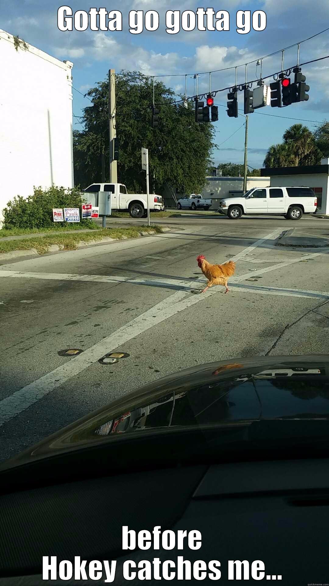 GOTTA GO GOTTA GO BEFORE HOKEY CATCHES ME... Misc