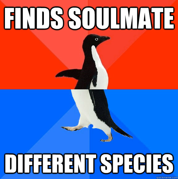 Finds soulmate different species  Socially Awesome Awkward Penguin
