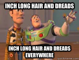 Inch long hair and dreads inch long hair and dreads everywhere  Borderlands 2 Buzz meme