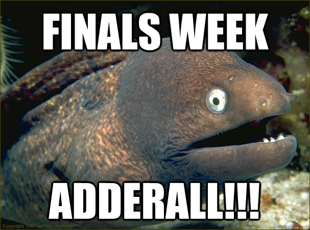 finals week adderall!!!  Bad Joke Eel