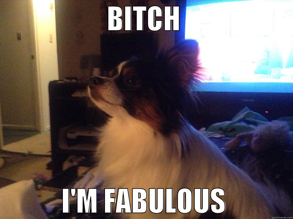 BITCH I'M FABULOUS Misc