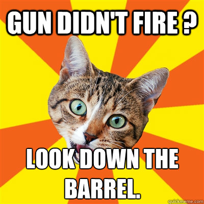 gun didn't fire ? look down the barrel. - gun didn't fire ? look down the barrel.  Bad Advice Cat
