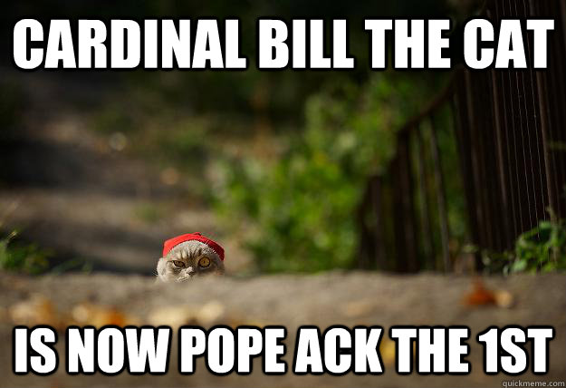 Cardinal Bill the cat Is now Pope Ack the 1st - Cardinal Bill the cat Is now Pope Ack the 1st  The new Pope