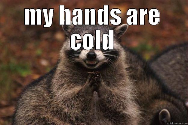 MY HANDS ARE COLD  Evil Plotting Raccoon