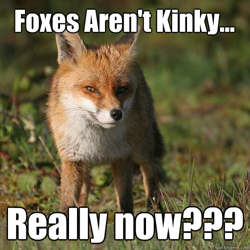 Foxes Aren't Kinky... Really now???  Smug Fox