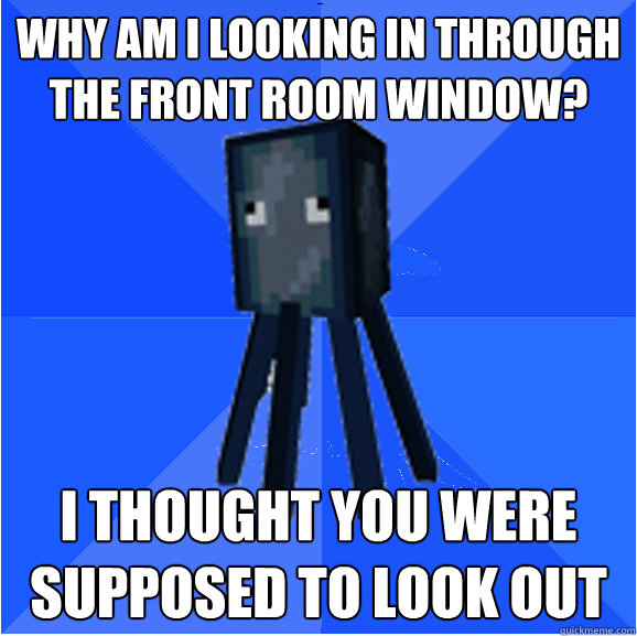 why am i looking in through the front room window? i thought you were supposed to look out  Socially Awkward Squid