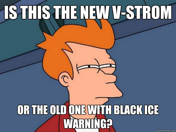 Is this the new v-strom or the old one with black ice warning?  Futurama Fry