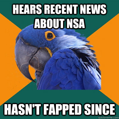hears recent news about nsa hasn't fapped since  Paranoid Parrot