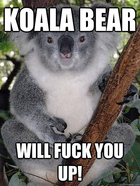 Koala Bear WILL FUCK YOU UP!  Ominous Koala Bear