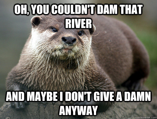 Oh, you couldn't dam that river And maybe I don't give a damn anyway - Oh, you couldn't dam that river And maybe I don't give a damn anyway  Misc