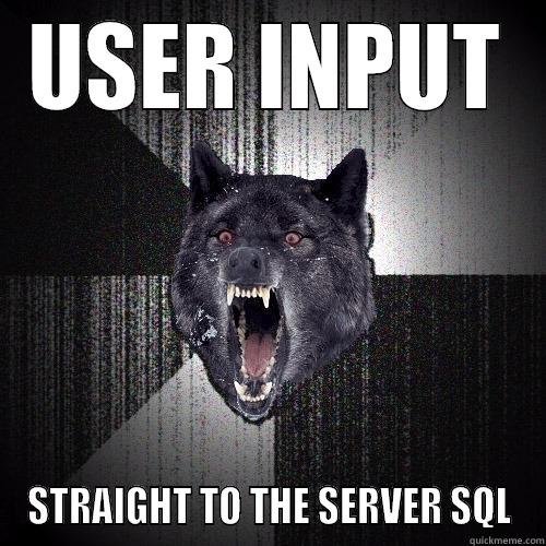 USER INPUT STRAIGHT TO THE SERVER SQL Insanity Wolf