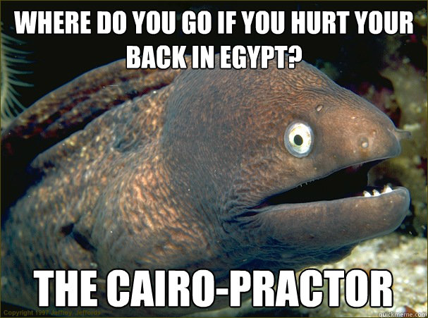 Where do you go if you hurt your back in Egypt? The cairo-practor  Bad Joke Eel