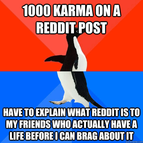 1000 karma on a reddit post have to explain what reddit is to my friends who actually have a life before I can brag about it  Socially Awesome Awkward Penguin
