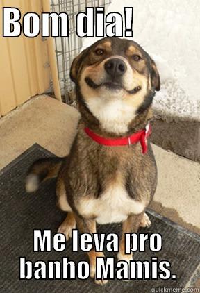 BOM DIA!           ME LEVA PRO BANHO MAMIS. Good Dog Greg