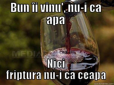 BUN ÎI VINU', NU-I CA APA NICI FRIPTURA NU-I CA CEAPA Success Kid