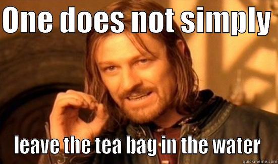 ONE DOES NOT SIMPLY  LEAVE THE TEA BAG IN THE WATER Boromir