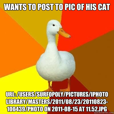 Wants to post to pic of his cat URL: /Users/surfopoly/Pictures/iPhoto Library/Masters/2011/08/23/20110823-100439/Photo on 2011-08-15 at 11.52.jpg
 - Wants to post to pic of his cat URL: /Users/surfopoly/Pictures/iPhoto Library/Masters/2011/08/23/20110823-100439/Photo on 2011-08-15 at 11.52.jpg
  Tech Impaired Duck