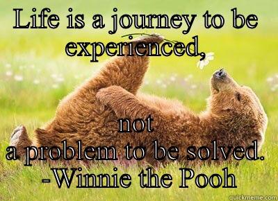 LIFE IS A JOURNEY TO BE EXPERIENCED, NOT A PROBLEM TO BE SOLVED.  -WINNIE THE POOH Misc