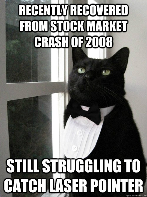 recently recovered from stock market crash of 2008 still struggling to catch laser pointer - recently recovered from stock market crash of 2008 still struggling to catch laser pointer  One Percent Cat