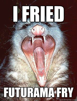 I FRIED FUTURAMA FRY  The Angry Possum