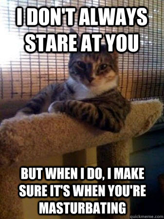 I don't always stare at you but when I do, I make sure it's when you're masturbating  The Most Interesting Cat in the World