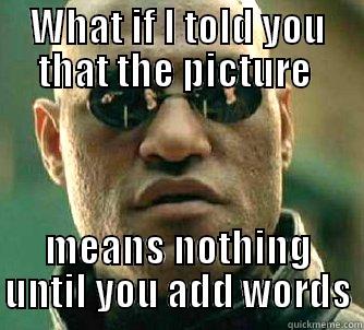 WHAT IF I TOLD YOU THAT THE PICTURE  MEANS NOTHING UNTIL YOU ADD WORDS Matrix Morpheus