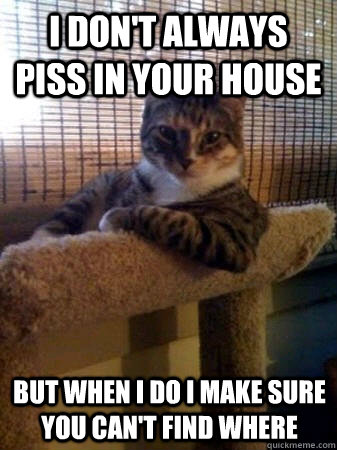 I don't always piss in your house but when i do i make sure you can't find where  The Most Interesting Cat in the World