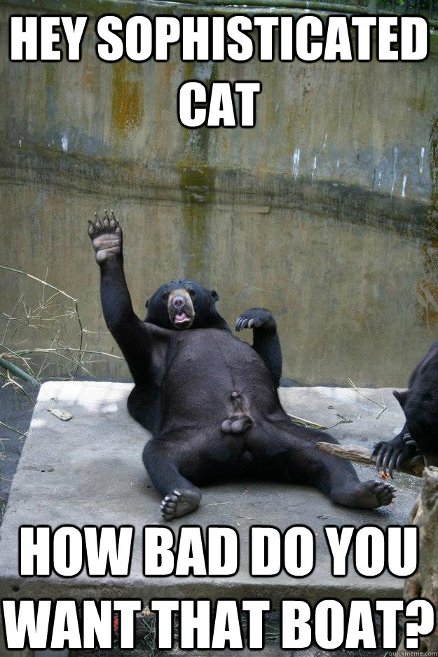Hey sophisticated cat how bad do you want that boat?  Ballsy Bear