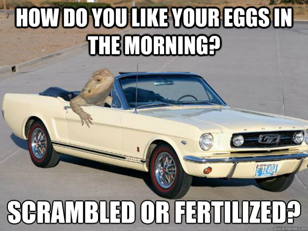 How do you like your eggs in the morning? scrambled or fertilized?
  Pickup Dragon