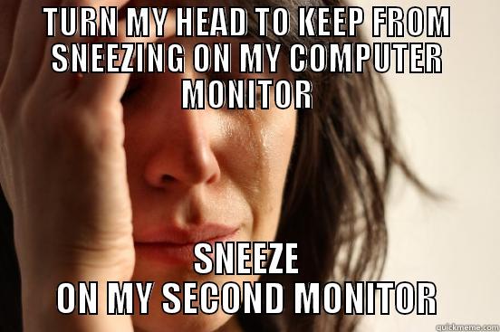 TURN MY HEAD TO KEEP FROM SNEEZING ON MY COMPUTER MONITOR SNEEZE ON MY SECOND MONITOR First World Problems
