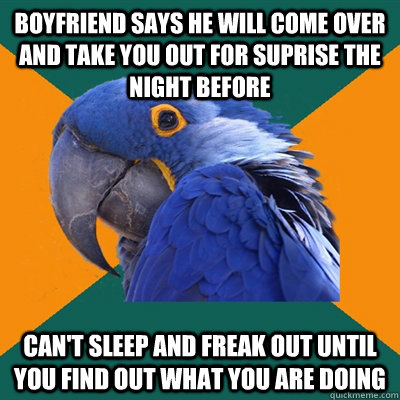 Boyfriend says he will come over and take you out for suprise the night before Can't sleep and freak out until you find out what you are doing  Paranoid Parrot
