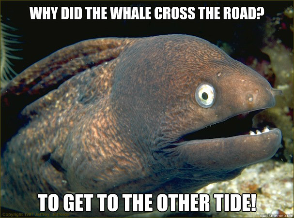 Why did the whale cross the road? To get to the other tide!  Bad Joke Eel