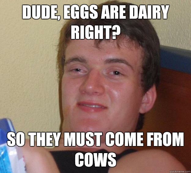 Dude, eggs are dairy right?  So they must come from cows  - Dude, eggs are dairy right?  So they must come from cows   10 Guy