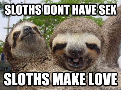 SLOTHS dont have sex sloths make love - SLOTHS dont have sex sloths make love  sloth love