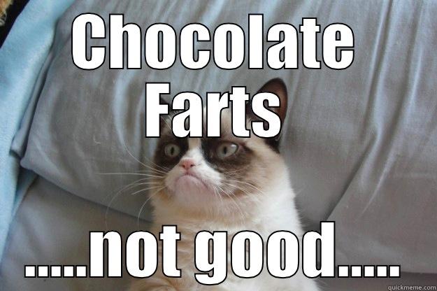 CHOCOLATE FARTS …..NOT GOOD….. Grumpy Cat