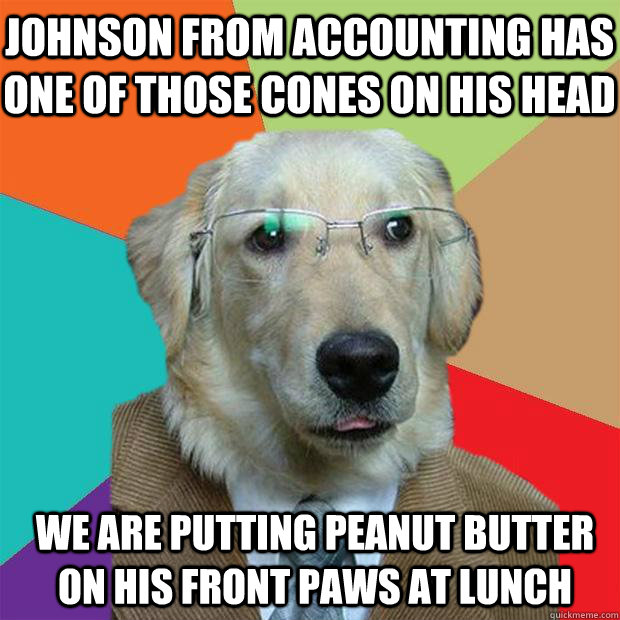 Johnson from accounting has one of those cones on his head we are putting peanut butter on his front paws at lunch  Business Dog